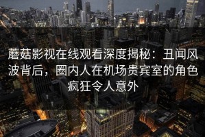 蘑菇影视在线观看深度揭秘：丑闻风波背后，圈内人在机场贵宾室的角色疯狂令人意外