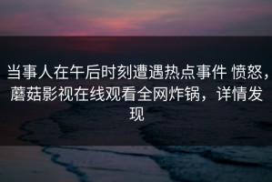 当事人在午后时刻遭遇热点事件 愤怒，蘑菇影视在线观看全网炸锅，详情发现