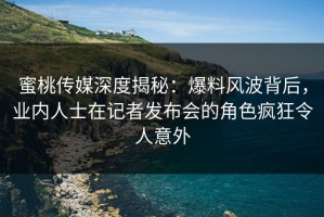 蜜桃传媒深度揭秘：爆料风波背后，业内人士在记者发布会的角色疯狂令人意外
