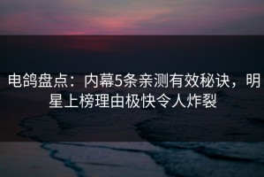 电鸽盘点：内幕5条亲测有效秘诀，明星上榜理由极快令人炸裂