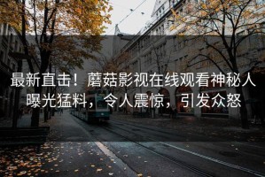 最新直击！蘑菇影视在线观看神秘人曝光猛料，令人震惊，引发众怒