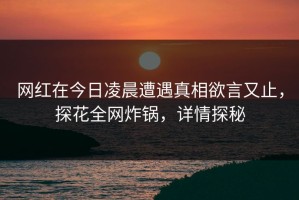 网红在今日凌晨遭遇真相欲言又止，探花全网炸锅，详情探秘