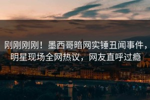 刚刚刚刚！墨西哥暗网实锤丑闻事件，明星现场全网热议，网友直呼过瘾