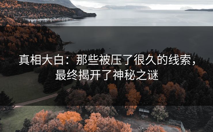 真相大白：那些被压了很久的线索，最终揭开了神秘之谜