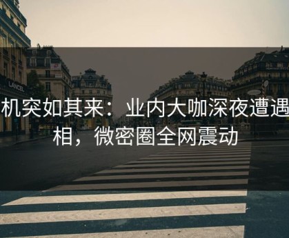 危机突如其来：业内大咖深夜遭遇真相，微密圈全网震动