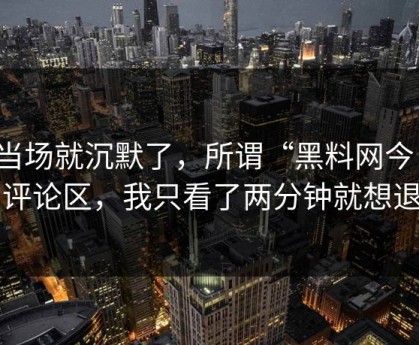 我当场就沉默了，所谓“黑料网今日”的评论区，我只看了两分钟就想退出