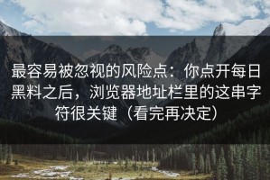 最容易被忽视的风险点：你点开每日黑料之后，浏览器地址栏里的这串字符很关键（看完再决定）