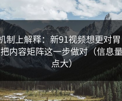 从机制上解释：新91视频想更对胃口？先把内容矩阵这一步做对（信息量有点大）
