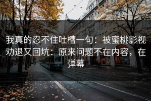 我真的忍不住吐槽一句：被蜜桃影视劝退又回坑：原来问题不在内容，在弹幕