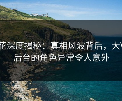 探花深度揭秘：真相风波背后，大V在后台的角色异常令人意外