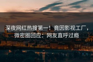 深夜网红热搜第一！竟因影视工厂，微密圈回应：网友直呼过瘾