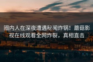 圈内人在深夜遭遇秘闻炸锅！蘑菇影视在线观看全网炸裂，真相直击