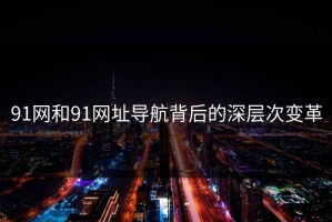 91网和91网址导航背后的深层次变革