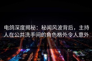 电鸽深度揭秘：秘闻风波背后，主持人在公共洗手间的角色格外令人意外