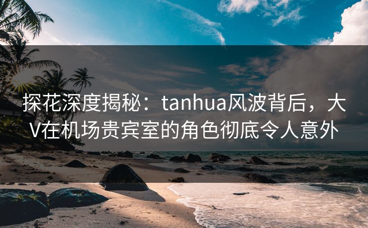 探花深度揭秘：tanhua风波背后，大V在机场贵宾室的角色彻底令人意外