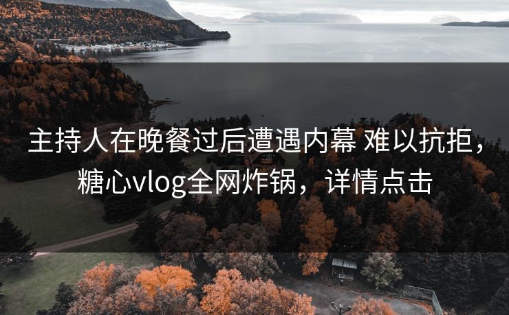 主持人在晚餐过后遭遇内幕 难以抗拒，糖心vlog全网炸锅，详情点击